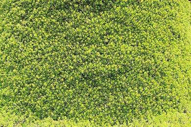 《猎天使魔女3》新角色薇欧拉7分钟试玩演示